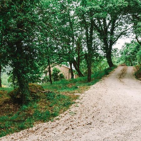 Parulia Country House Αρέτσο Εξωτερικό φωτογραφία