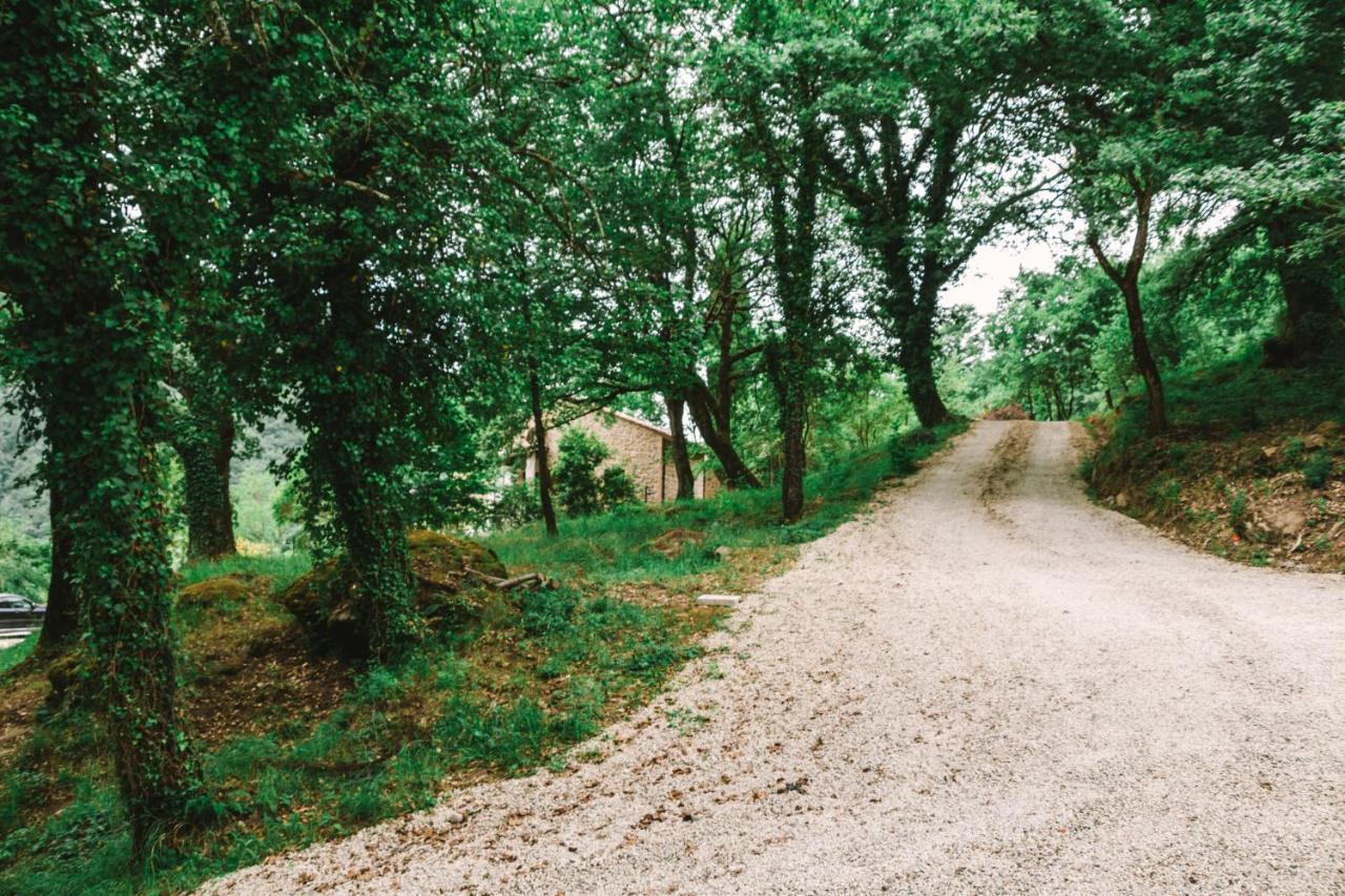 Parulia Country House Αρέτσο Εξωτερικό φωτογραφία